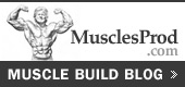 Muscle Build Blog