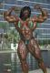 madbodybuilder's Avatar